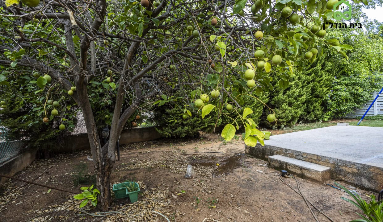 בית שטוח למכירה בפרדס חנה-כרכור: 4 חדרים על שטח גדול