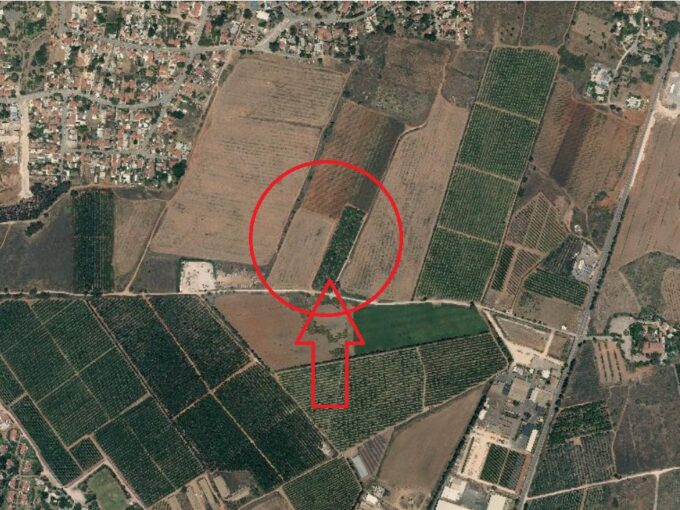 בחריש בשכונת פרדס חנה