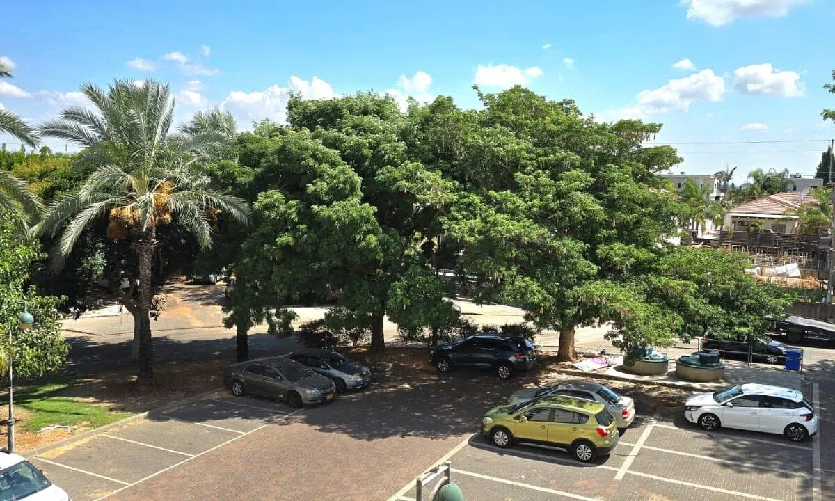 דירה למכירה בפרדס חנה-כרכור: 3 חדרים מעולה בשכונת נווה פרדסים