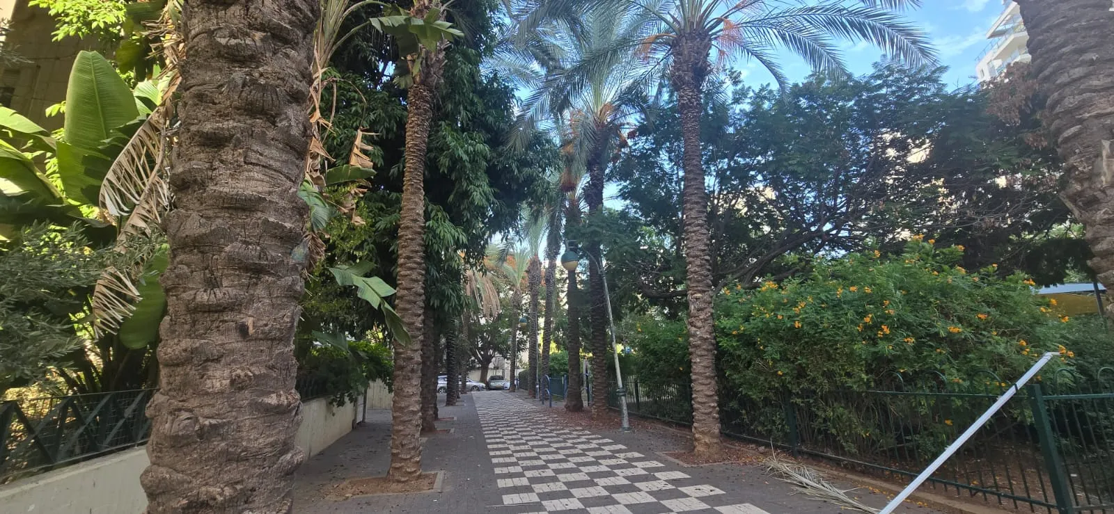 בחריש דירת 3 חדרים בשכונת פרדס חנה